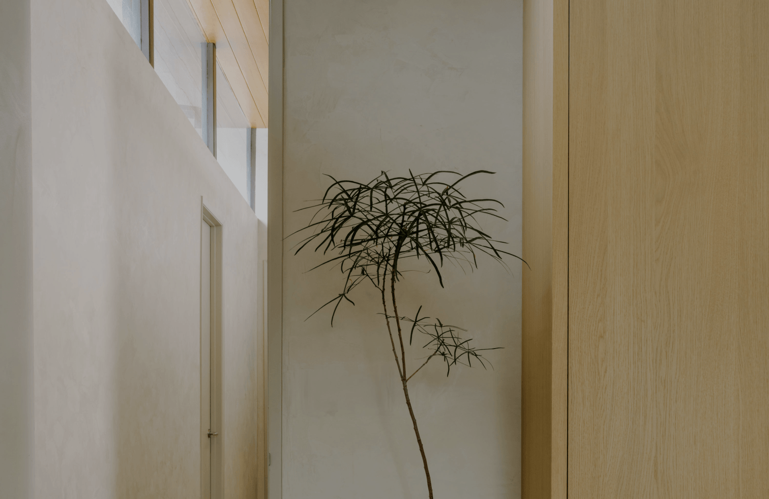 Hero image 6